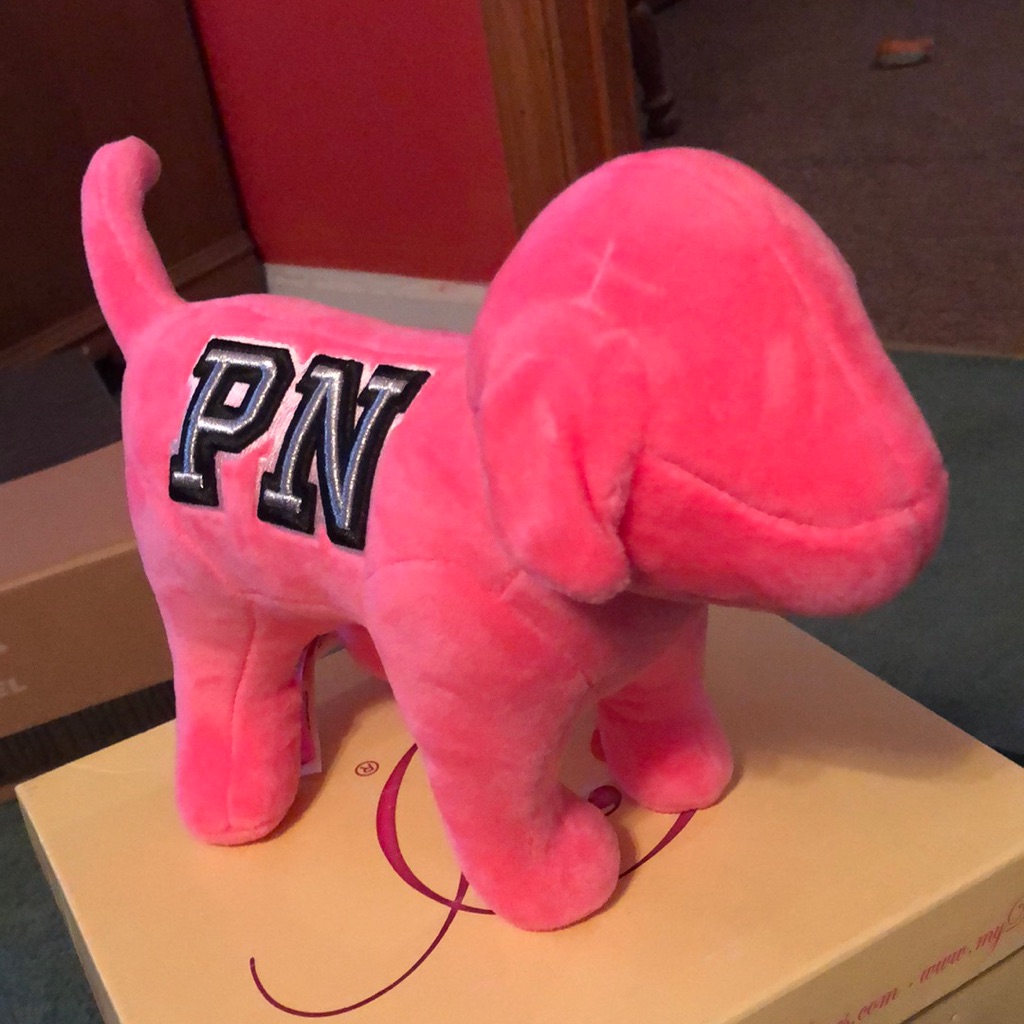 Large Pink Dog Brand New
